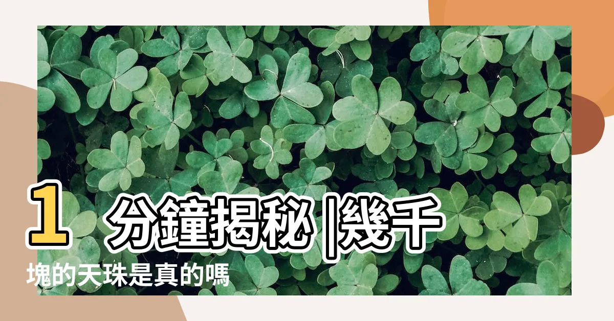 【真正 天珠】1分鐘揭秘 |幾千塊的天珠是真的嗎 |絕不為人知的天珠真相 |