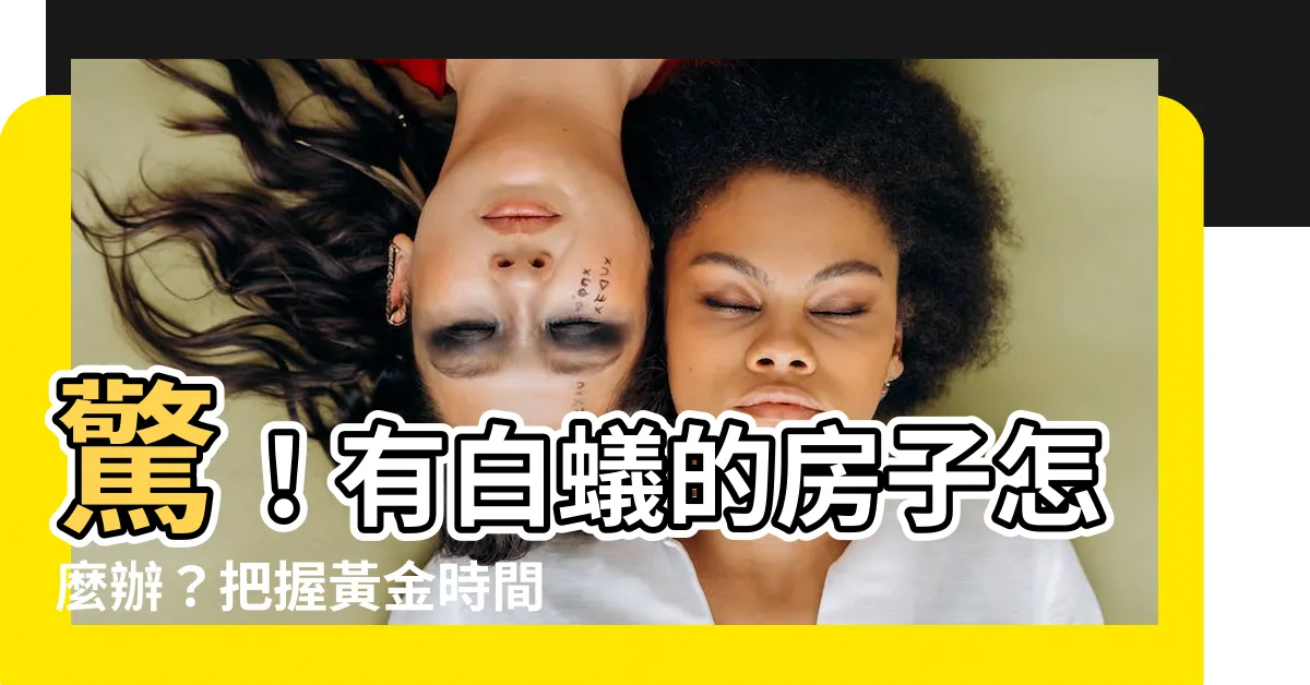 【有白蟻的房子】驚！有白蟻的房子怎麼辦？把握黃金時間，對症下藥除白蟻！