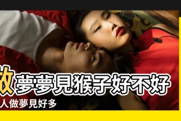 【夢見好多紅猴子】做夢夢見猴子好不好 |女人做夢見好多猴子預示什麼意思 |