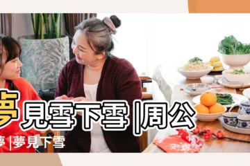 【周公解夢夢見大下雪】夢見雪下雪 |周公解夢 |夢見下雪 |