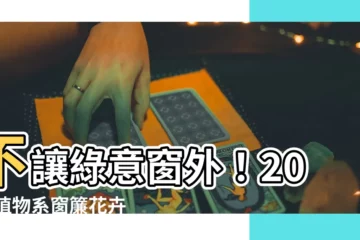 【植物窗簾】不讓綠意窗外！2023植物系窗簾花卉圖樣全搜羅