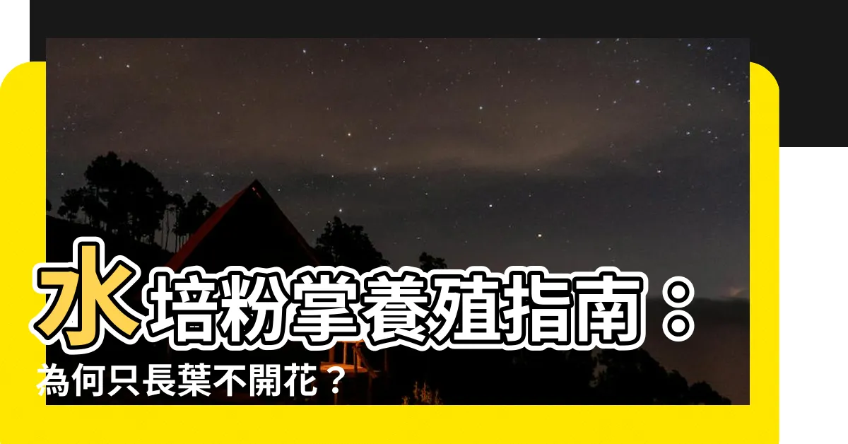 【粉掌水種】水培粉掌養殖指南：為何只長葉不開花？根黑了怎麼辦？