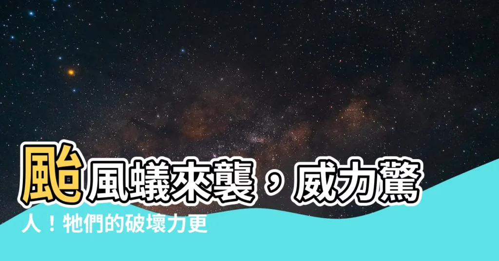【台風 蟻】颱風蟻來襲，威力驚人！牠們的破壞力更勝火災，千萬別小看