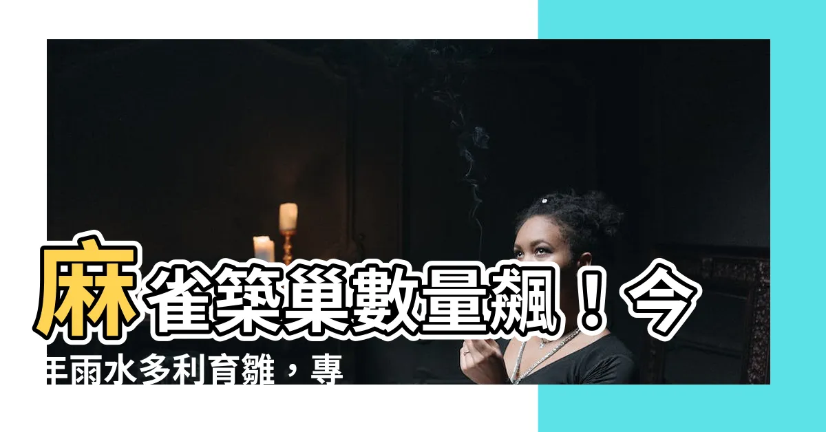 【麻雀築巢】麻雀築巢數量飆！今年雨水多利育雛，專家揭「麻雀屋」真意