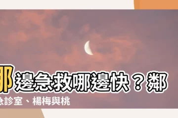 【哪邊】哪邊急救哪邊快？鄰近急診室、楊梅與桃園哪邊更有優勢？