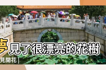 【周公解夢夢到花長成樹】夢見了很漂亮的花樹 |夢見開花 |