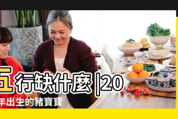 【2019年二月寶寶五行缺什麼】五行缺什麼 |2019年出生的豬寶寶五行缺什麼2019年豬寶寶是什麼命 |要以天干日柱作為出發點 |