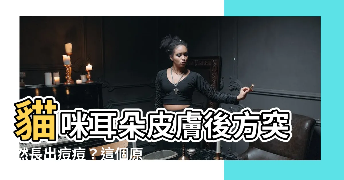 【貓耳朵長痘痘】貓咪耳朵皮膚後方突然長出痘痘？這個原因你一定沒想到！