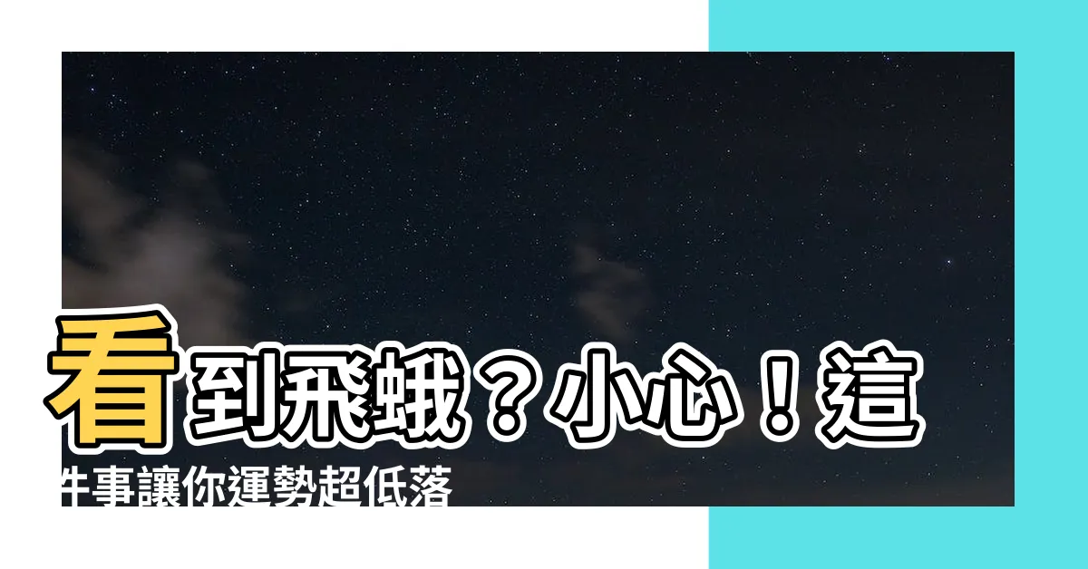 【看到蛾】看到飛蛾？小心！這件事讓你運勢超低落！