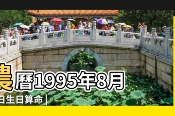 【1995.8.11農曆】農曆1995年8月11日生日算命 |公曆1995年8月11日是農曆幾月幾號 |1995年8月11日農曆多少號 |