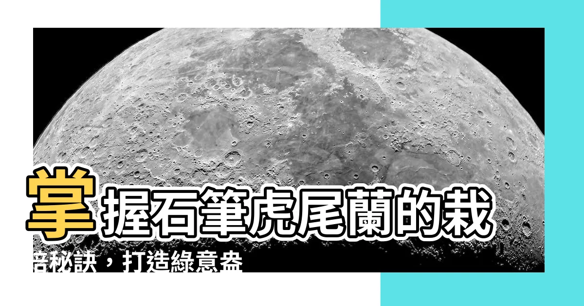 【石筆虎尾蘭】掌握石筆虎尾蘭的栽培秘訣，打造綠意盎然的家居環境
