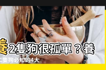 【養2隻狗】養2隻狗很孤單？養第二隻狗必知的4大迷思！