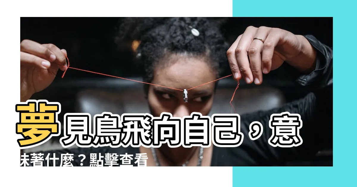 【夢見鳥飛向自己】夢見鳥飛向自己，意味著什麼？點擊查看夢境解析！