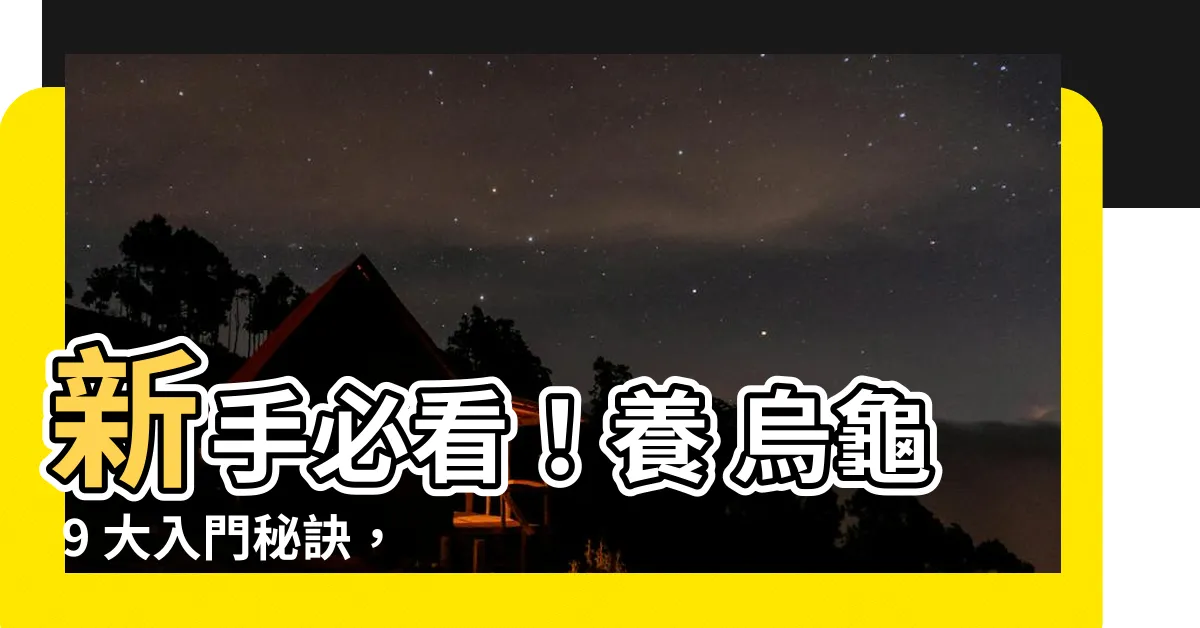 【養 烏龜】新手必看！養 烏龜 9 大入門秘訣，從巴西龜開始！