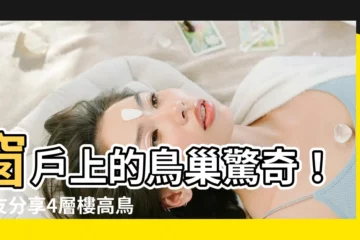 【窗户鳥巢】窗户上的鳥巢驚奇！網友分享4層樓高鳥巢神作