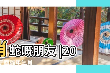 【屬蛇的今年運勢2017】肖蛇嘅朋友 |2017丁酉雞年生肖 |蘇民峯2017雞年運程率先睇 |