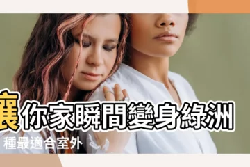 【室外觀賞植物】讓你家瞬間變身綠洲！9 種最適合室外陽台的觀賞植物推薦