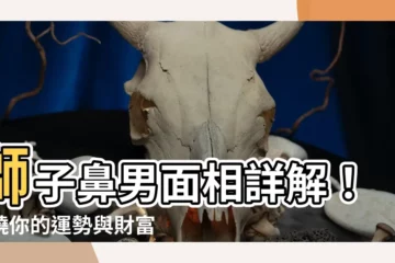 【獅子鼻男】獅子鼻男面相詳解！揭曉你的運勢與財富密碼