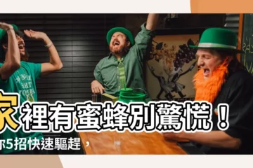 【家裏有蜜蜂怎麼辦】家裡有蜜蜂別驚慌！教你5招快速驅趕，避免被螫傷！