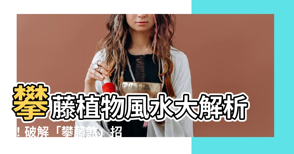【攀藤植物風水】攀藤植物風水大解析！破解「攀藤煞」招財旺宅