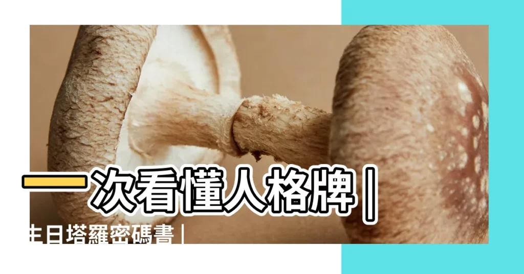 一次看懂人格牌 |生日塔羅密碼書 |塔羅牌生日密碼 |【塔羅牌命生日密碼】