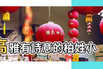 【夏的優美名字大全集】高雅有詩意的柏姓小女孩名字大全集 |古風詩意唯美的倪姓小女孩名字大全集 |起名字2024免費八字起名 |