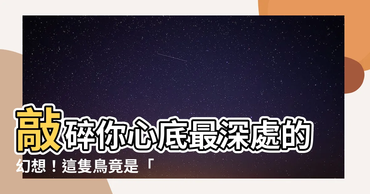 【鳥死了】敲碎你心底最深處的幻想！這隻鳥竟是「活死人」？