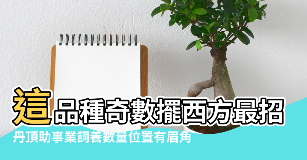 【錦鯉魚與風水】這品種奇數擺西方最招財 |丹頂助事業飼養數量位置有眉角 |錦鯉旺風水 |