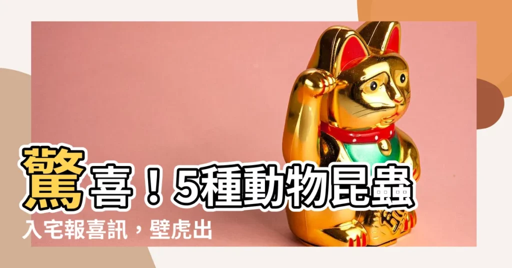 【壁虎帶財】驚喜！5種動物昆蟲入宅報喜訊，壁虎出現財運爆棚！