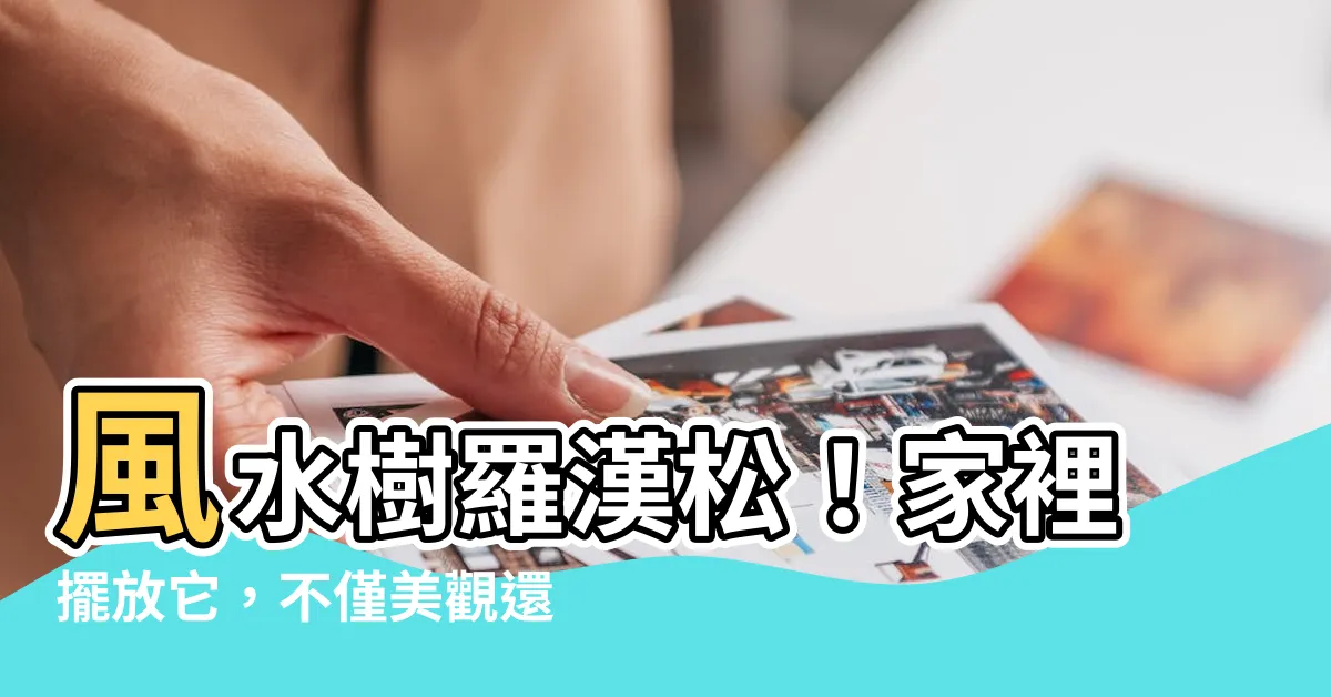 【風水樹羅漢松】風水樹羅漢松！家裡擺放它，不僅美觀還能旺宅