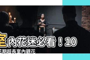 【室內花】室內花迷必看！10種花期超長室內觀花植物推薦