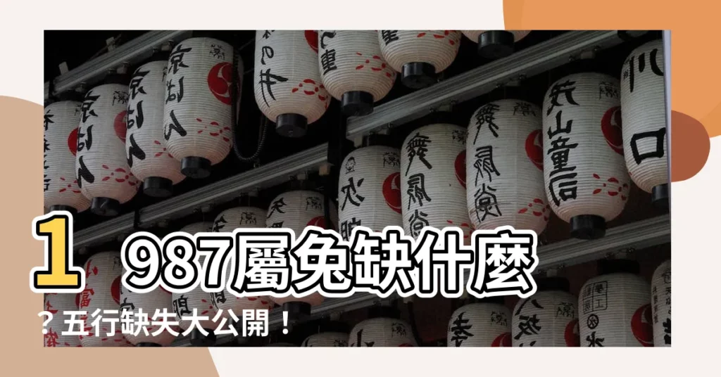 【1987屬兔五行缺什麼】1987屬兔缺什麼？五行缺失大公開！