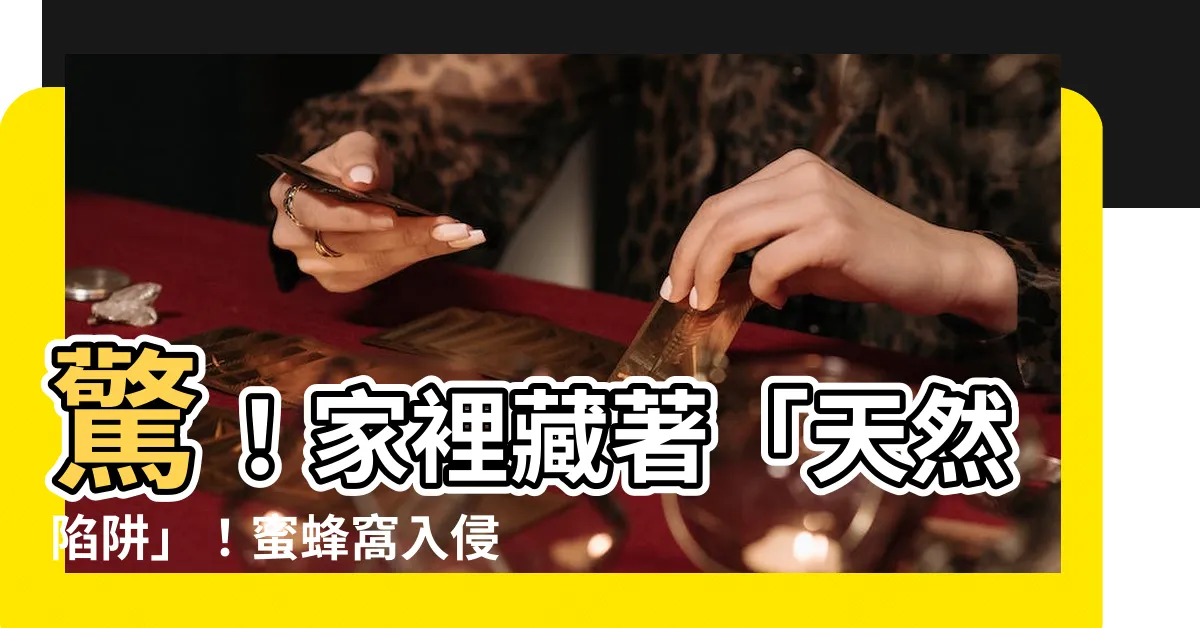 【蜜蜂窩】驚！家裡藏著「天然陷阱」！蜜蜂窩入侵怎麼辦？