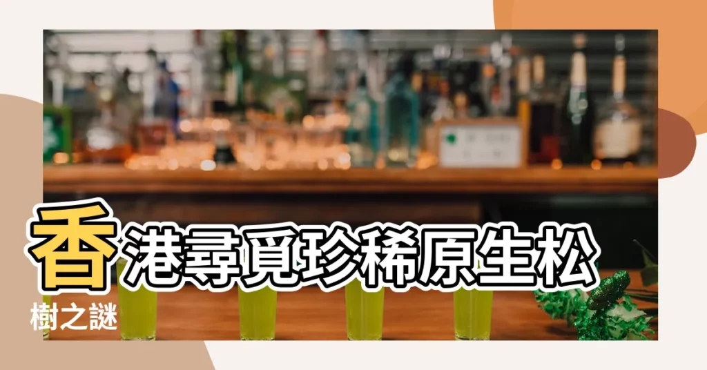 【松樹】香港尋覓珍稀原生松樹之謎