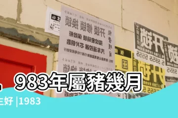 【1983年屬豬那月好】1983年屬豬幾月出生好 |1983年屬豬的幾月出生最好 |屬豬最佳出生月份查詢 |