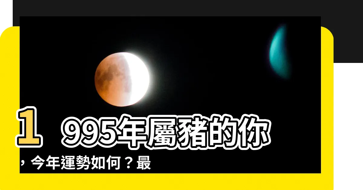 【1995年屬】1995年屬豬的你，今年運勢如何？最適合你的對象是誰？