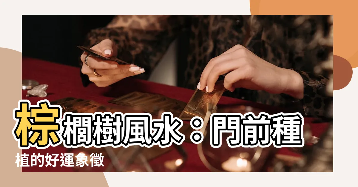 【棕櫚樹風水】棕櫚樹風水：門前種植的好運象徵