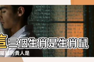 【屬鼠的生肖貴人屬相】這三個生肖是生肖鼠的 |屬鼠的貴人是什麼屬相和什麼屬相相處最好命 |不離不棄 |