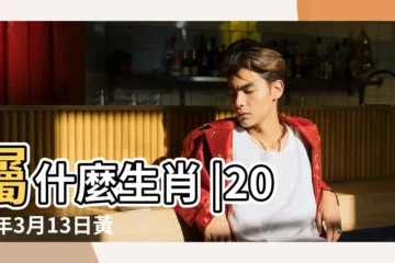 【2019年3月13日是屬什麼】屬什麼生肖 |2019年3月13日黃歷查詢 |2019年3月13日出生時間看命運 |