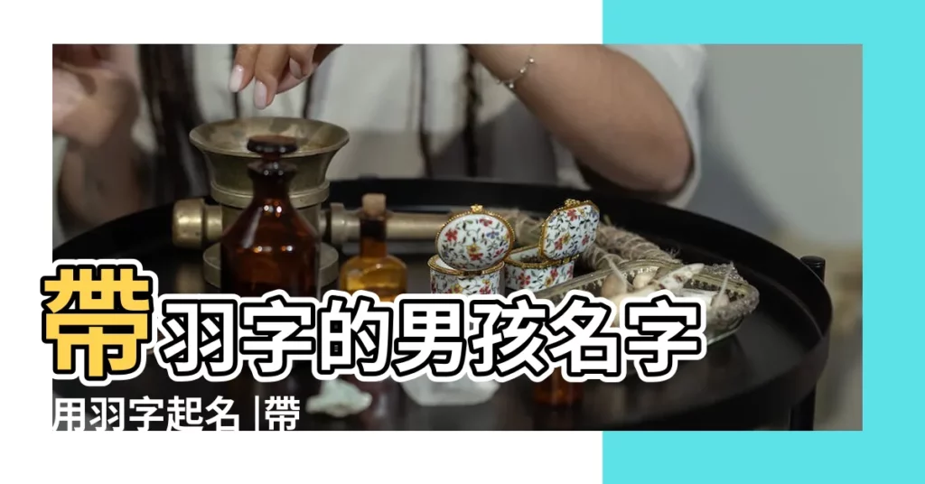 帶羽字的男孩名字 |用羽字起名 |帶羽字的男孩名字 |【羽男孩名字】