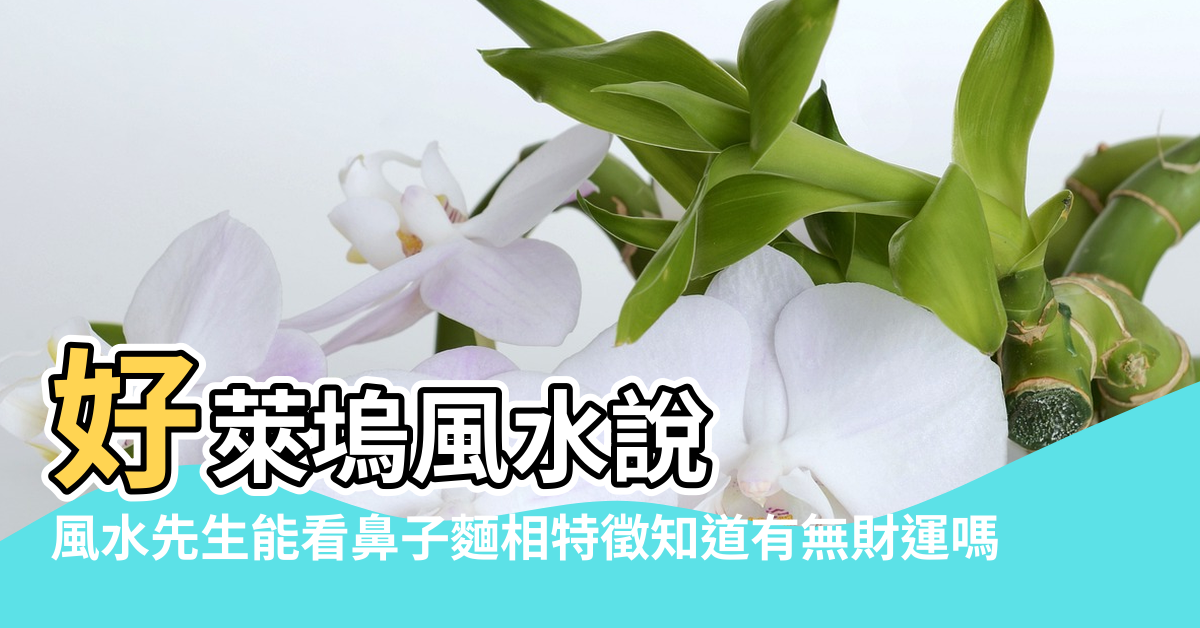 【鼻子有病風水】好萊塢風水說 |風水先生能看鼻子麵相特徵知道有無財運嗎 |觀相知人 |