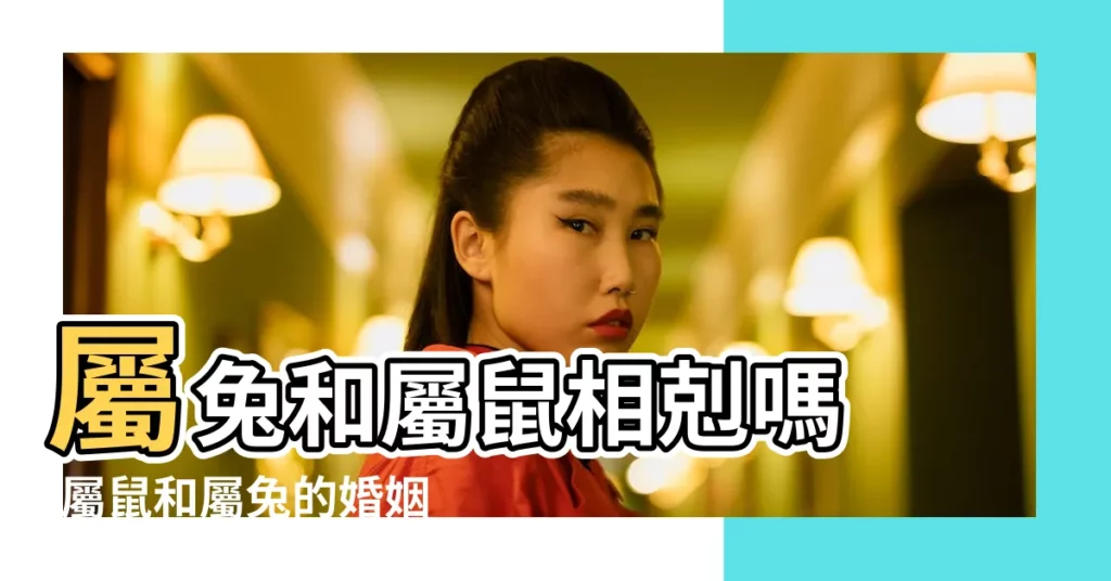 屬兔和屬鼠相剋嗎 |屬鼠和屬兔的婚姻怎麼樣 |原創屬鼠人和屬兔人在一起後 |【生肖鼠和生肖兔配嗎】