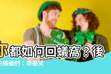 【你都如何回蟻窩】你都如何回蟻窩？後來的螞蟻們：帶著笑，還是很沉默？
