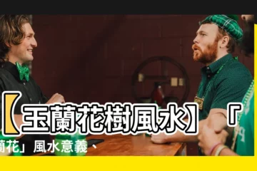 【玉蘭花樹風水】【玉蘭花樹風水】「玉蘭花」風水意義、禁忌一次看！
