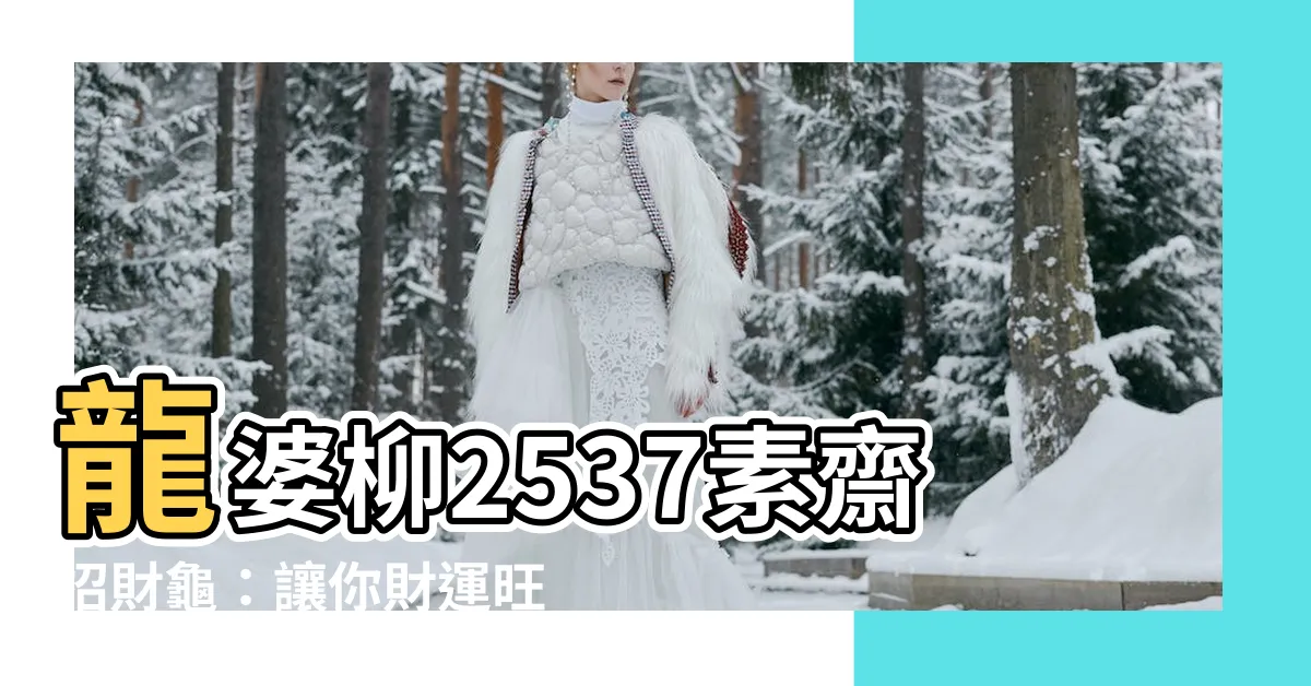【招財龜功效】龍婆柳2537素齋招財龜：讓你財運旺旺，驅邪避險！