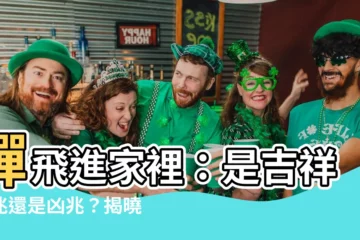 【蟬 飛進家裡】蟬飛進家裡：是吉祥徵兆還是凶兆？揭曉家居風水奧秘