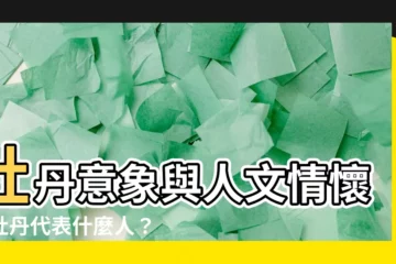 【牡丹代表什麼人】牡丹意象與人文情懷：牡丹代表什麼人？