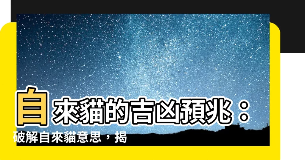 【自來貓意思】自來貓的吉凶預兆：破解自來貓意思，揭開貓不請自來的運勢秘密