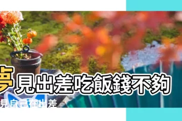 【夢見自己出差吃飯】夢見出差吃飯錢不夠 |夢見自己在出差 |周公解夢夢見請人吃飯是什麼意思 |