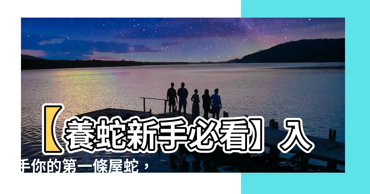 【屋蛇】【養蛇新手必看】入手你的第一條屋蛇，棕屋蛇飼養指南